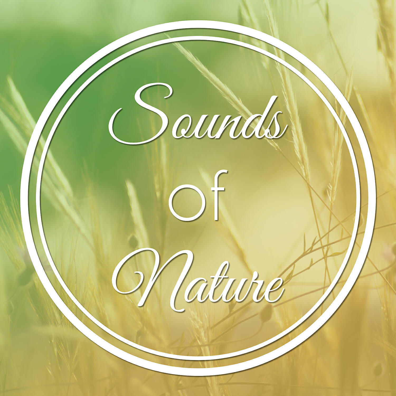 Релиз Sounds of Nature – Pure Sounds of Nature, Healing Water Sounds, New Age Music for Relaxation