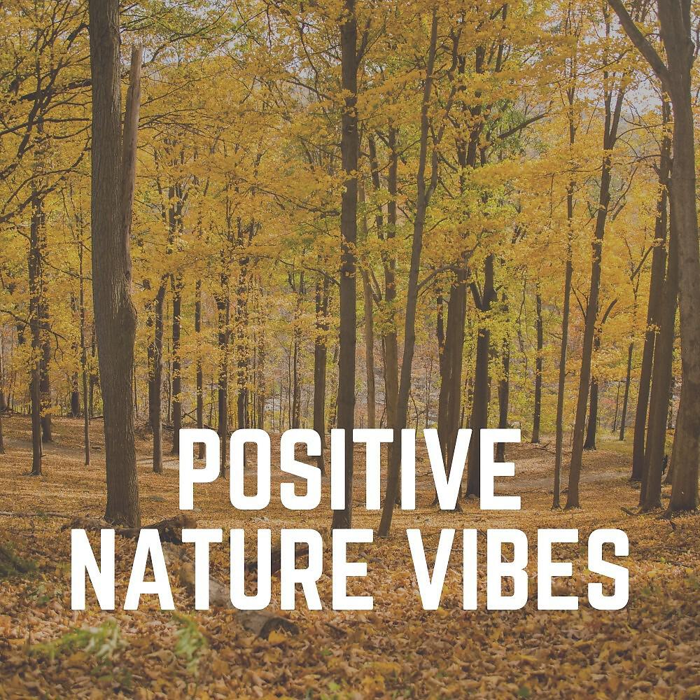Релиз Positive Nature Vibes