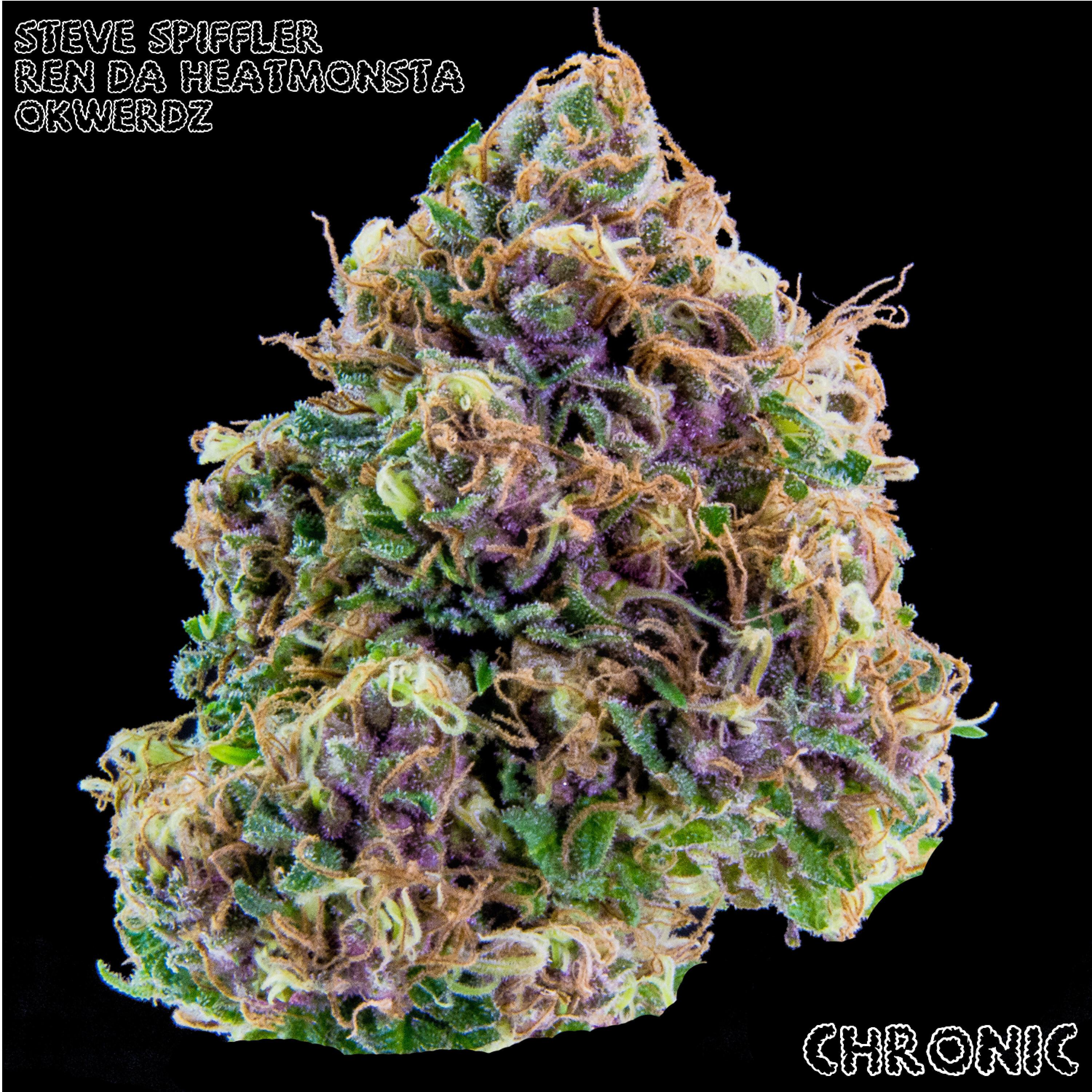 Релиз Hooked on Chronic (feat. Ren Da Heat Monsta & Okwerdz)