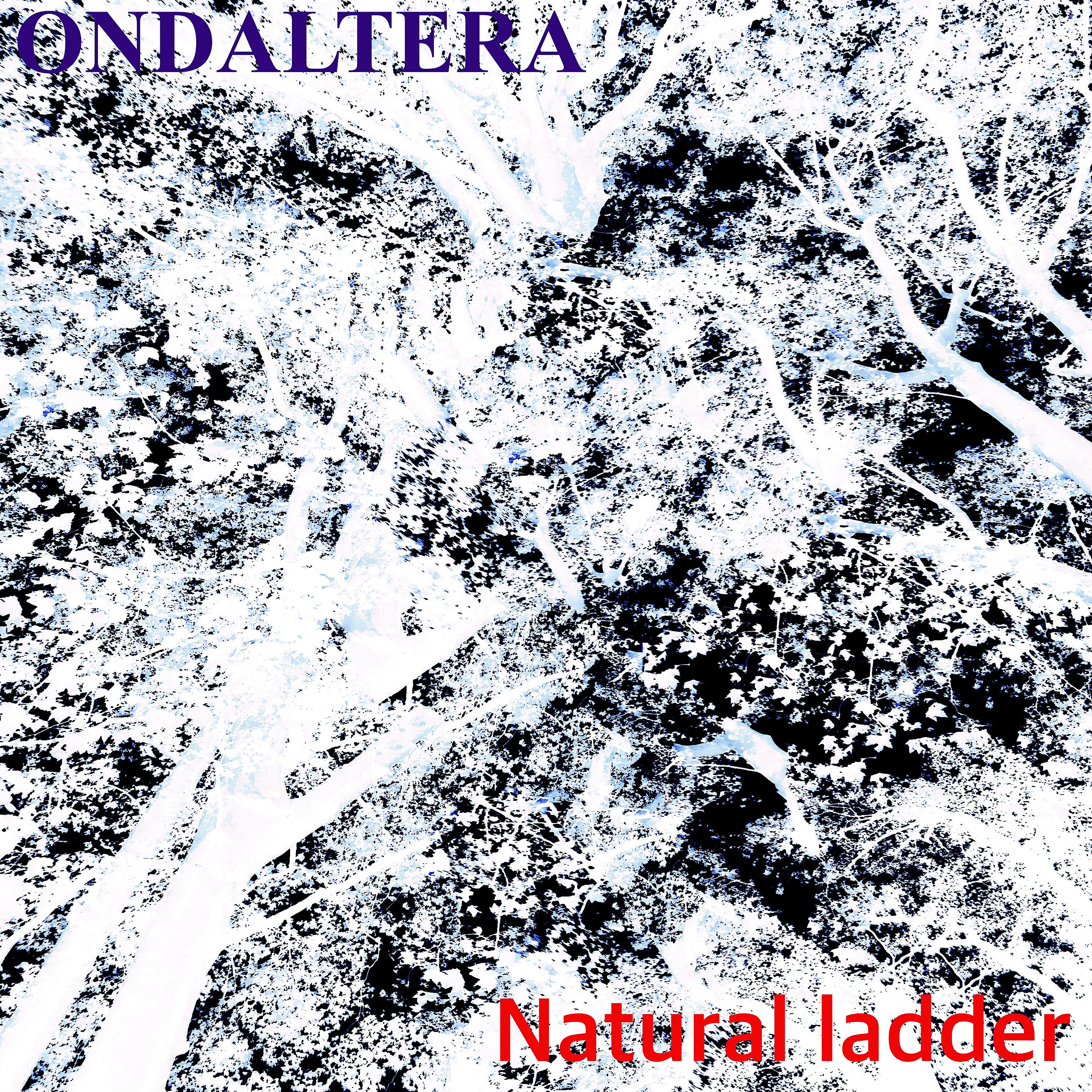 Релиз Natural Ladder