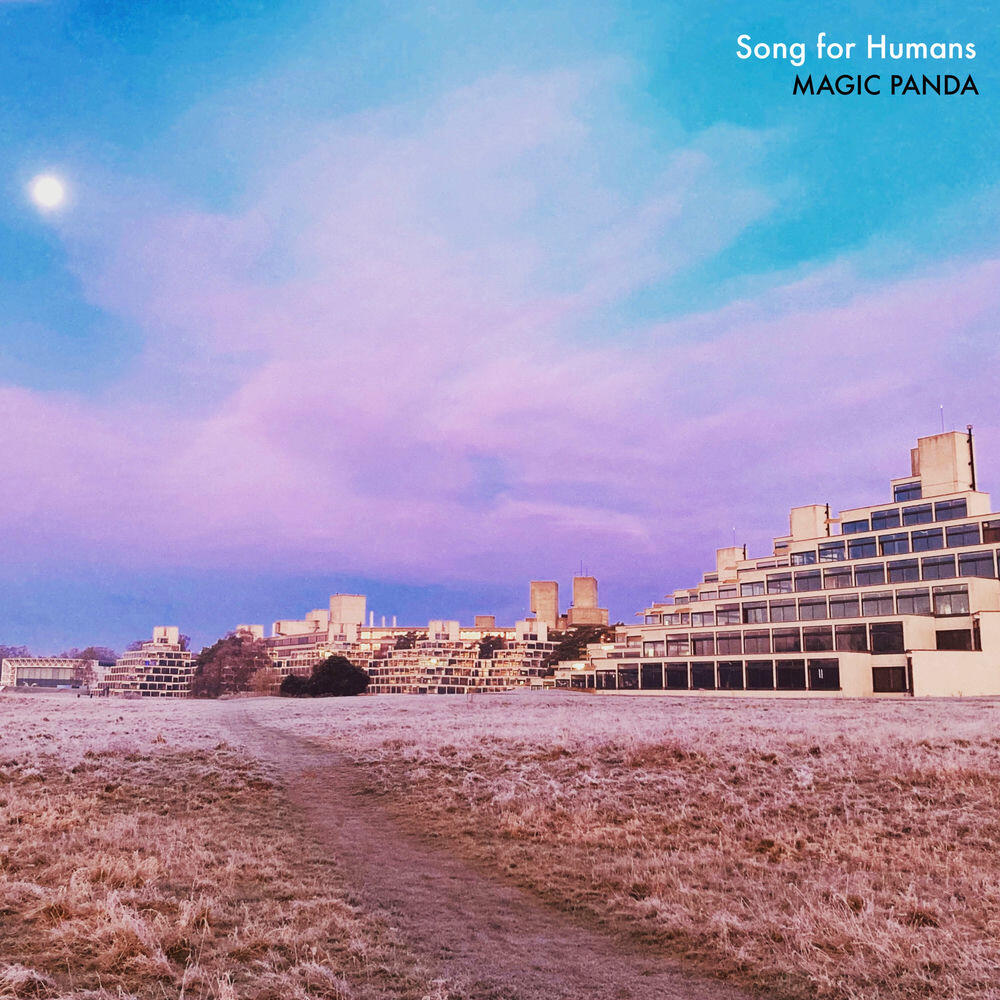 Релиз Song For Humans
