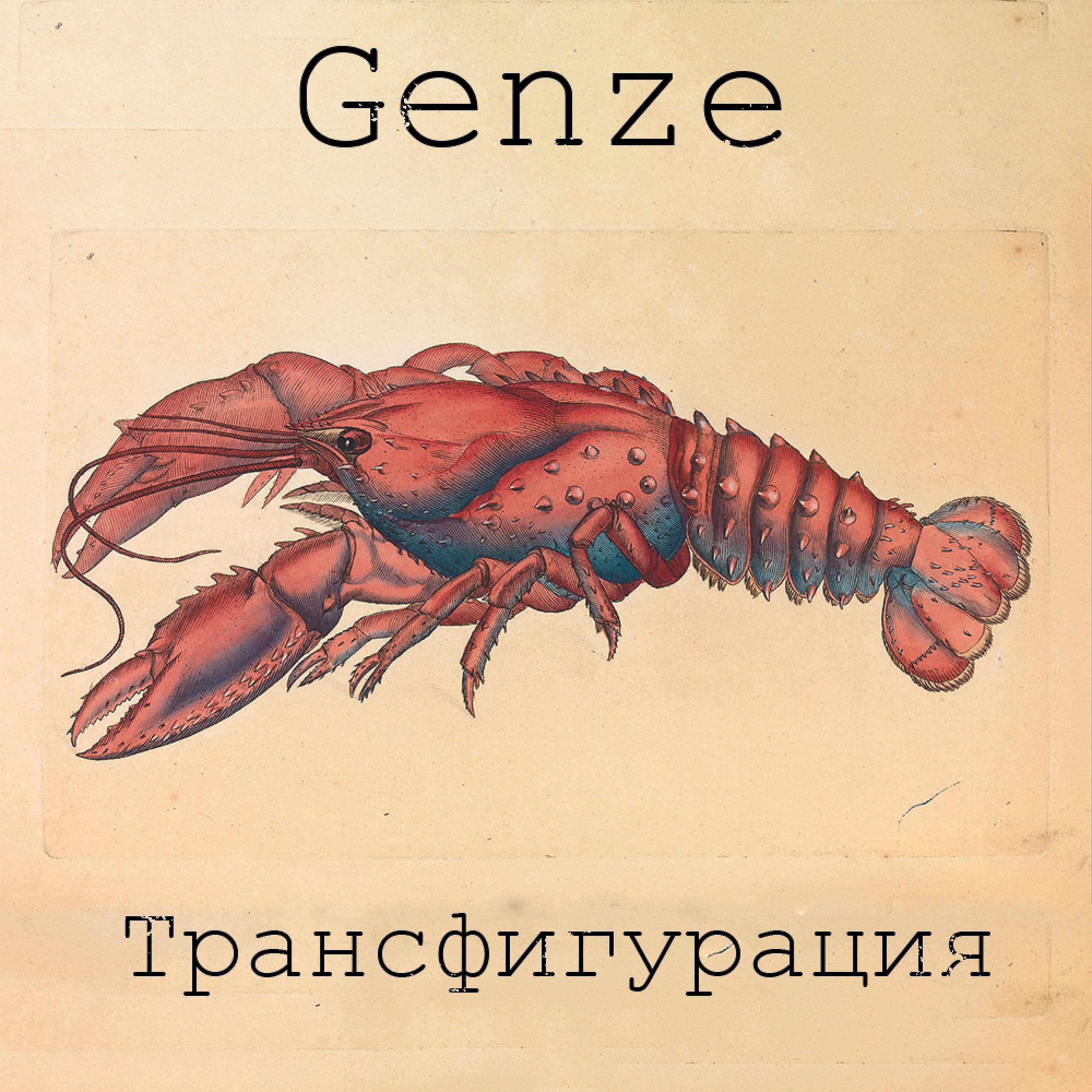 Релиз Трансфигурация