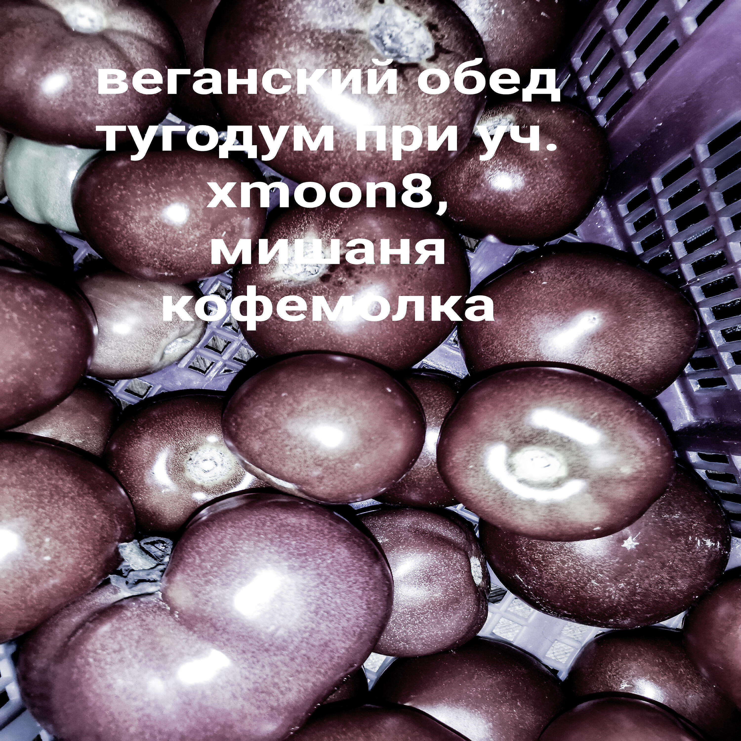 Релиз Веганский обед (feat. Xmoon8, мишаня кофемолка)