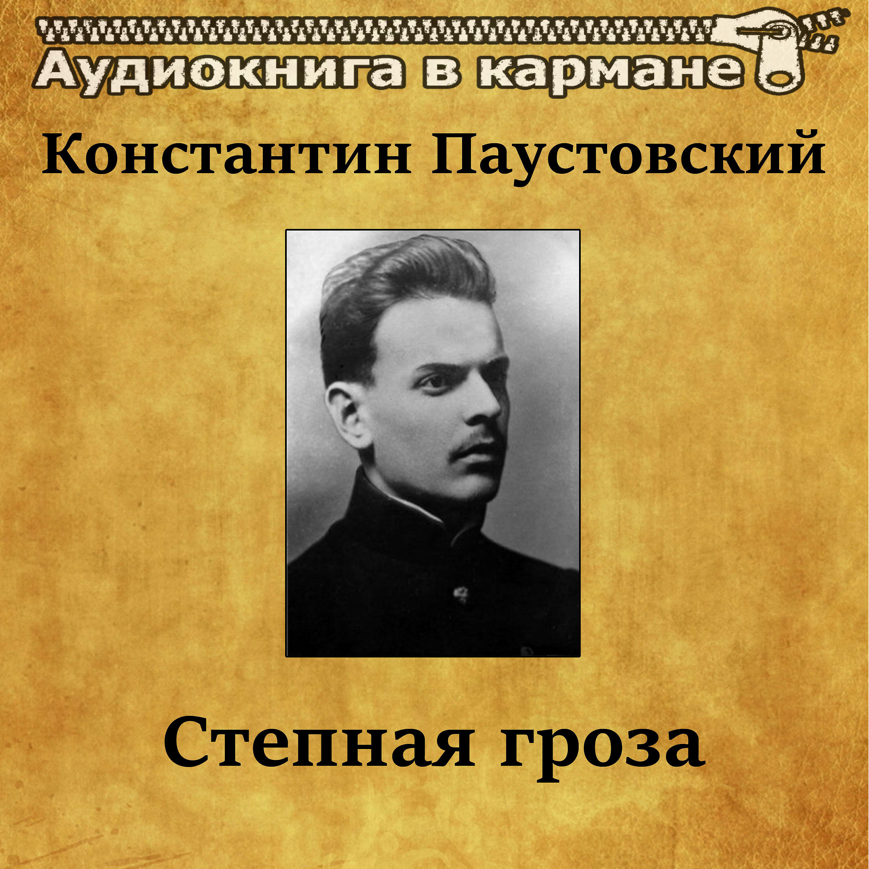 Книга Степная гроза