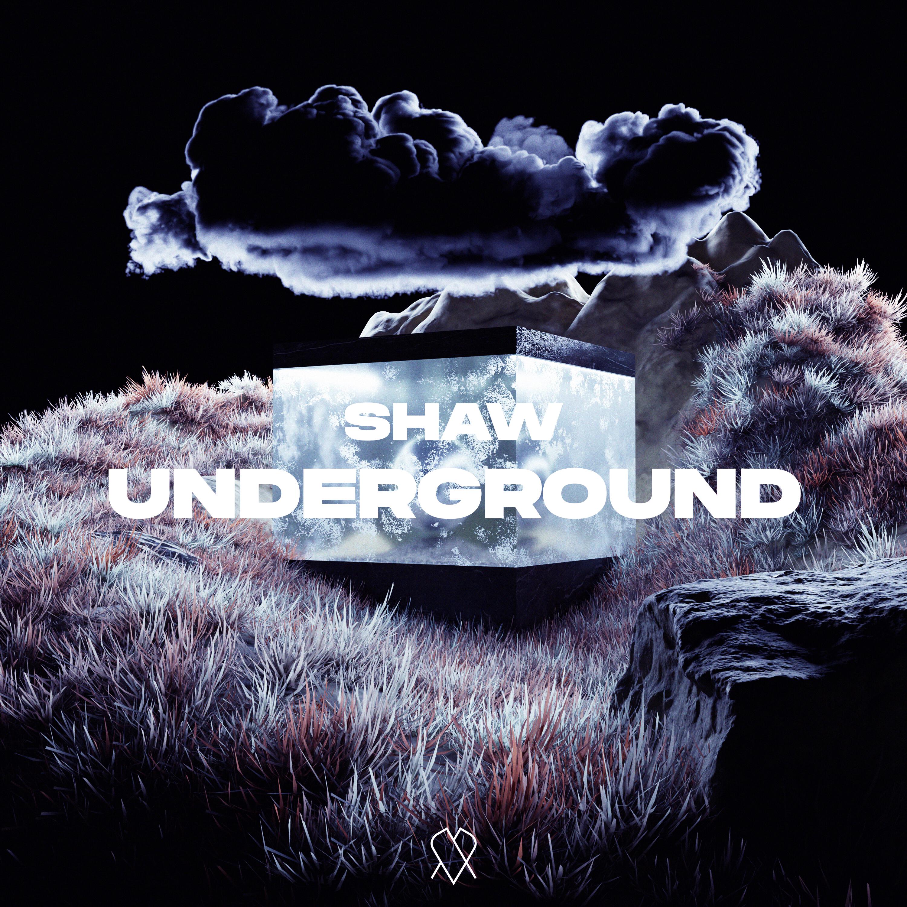 Релиз Underground
