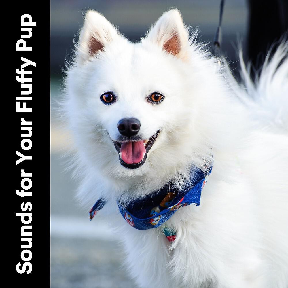 Релиз Sounds for Your Fluffy Pup