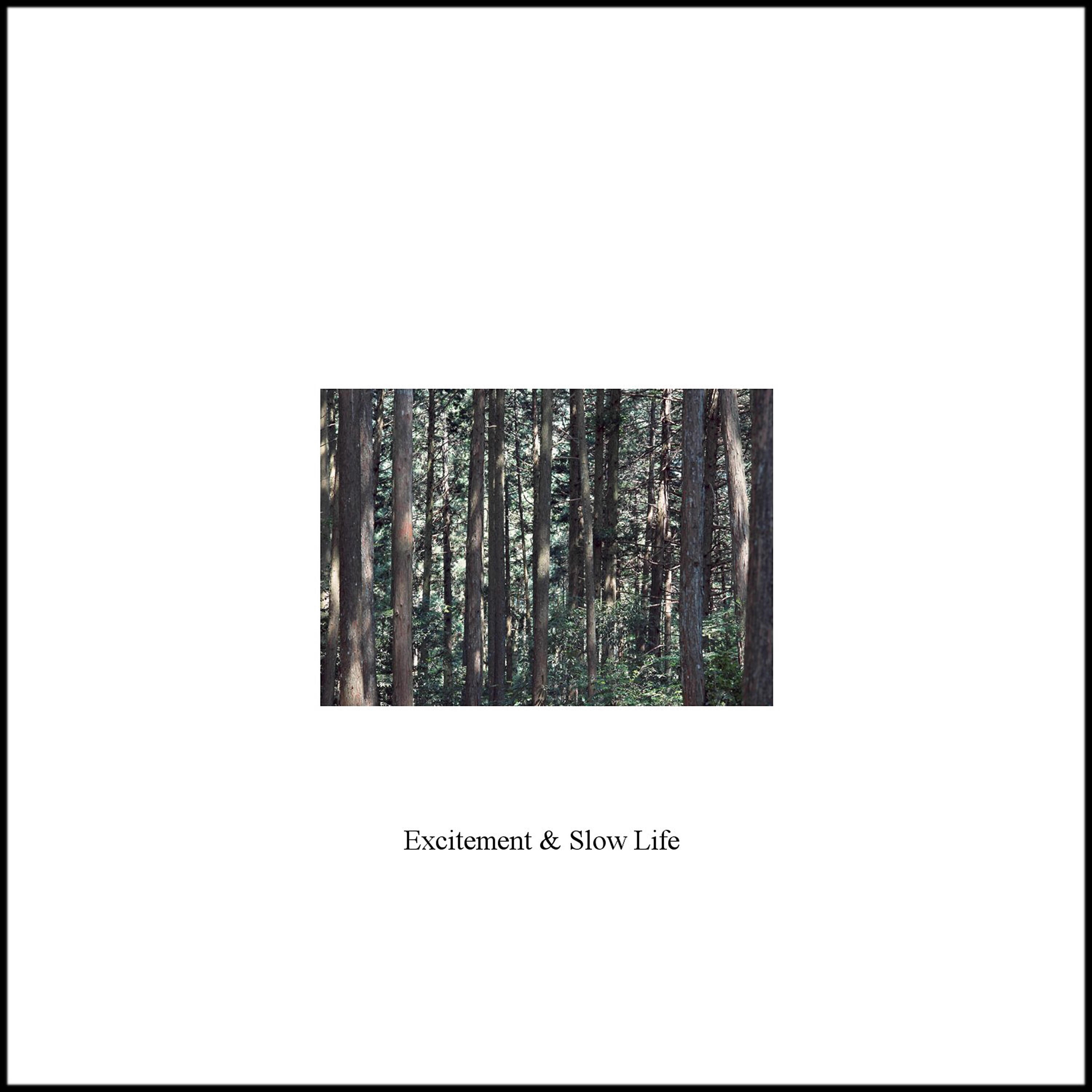 Релиз Excitement and Slow Life - Single