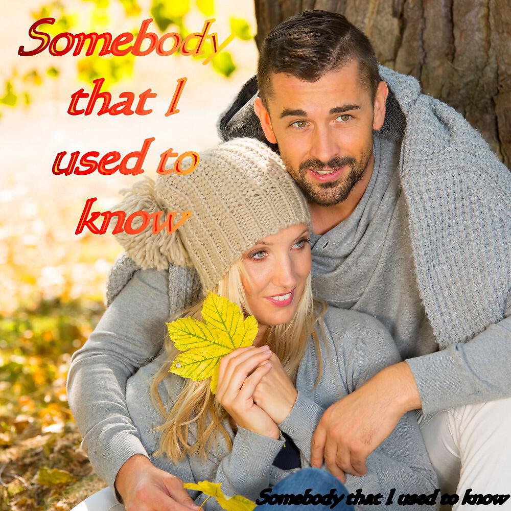 Постер альбома Somebody That I Used to Know