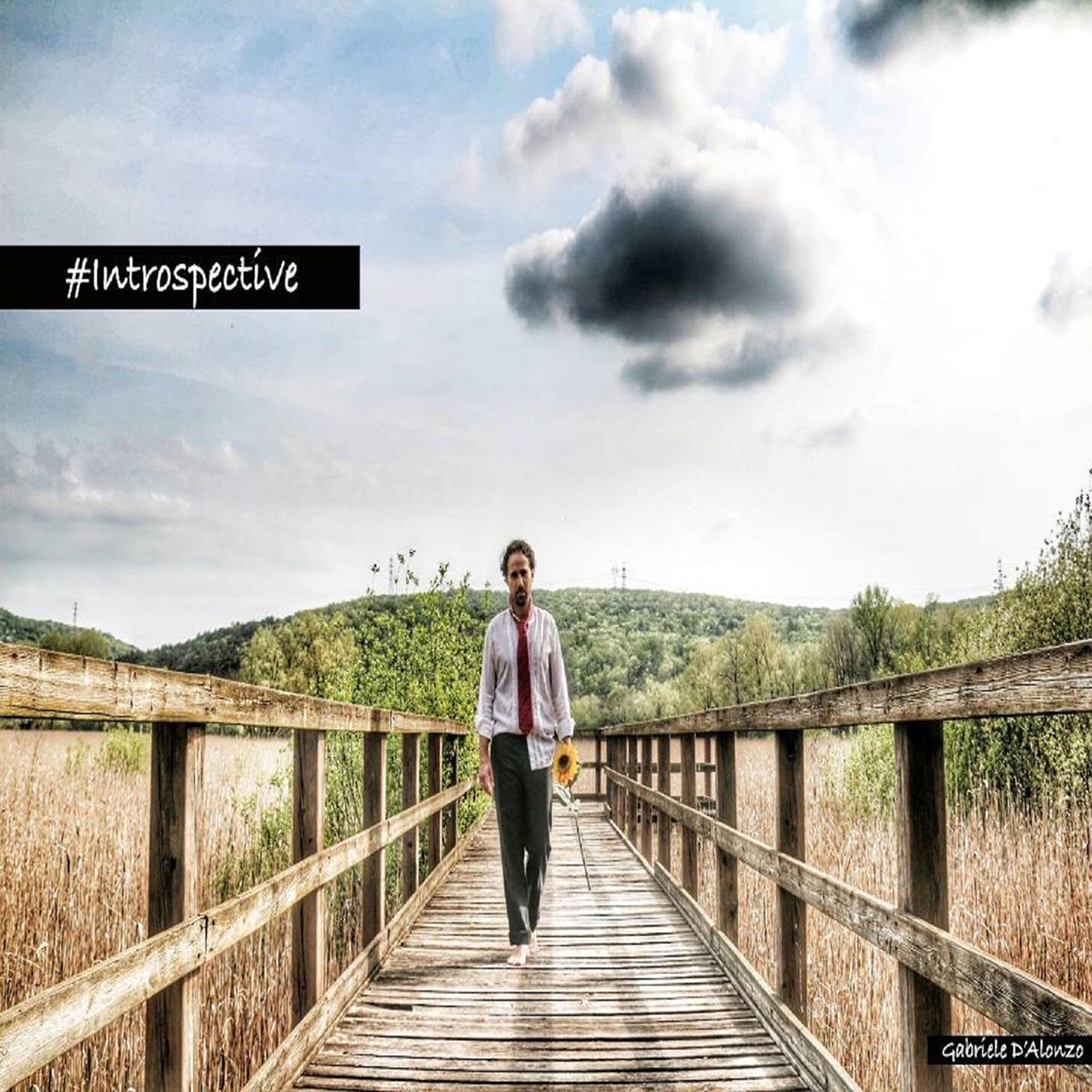 Релиз Introspective