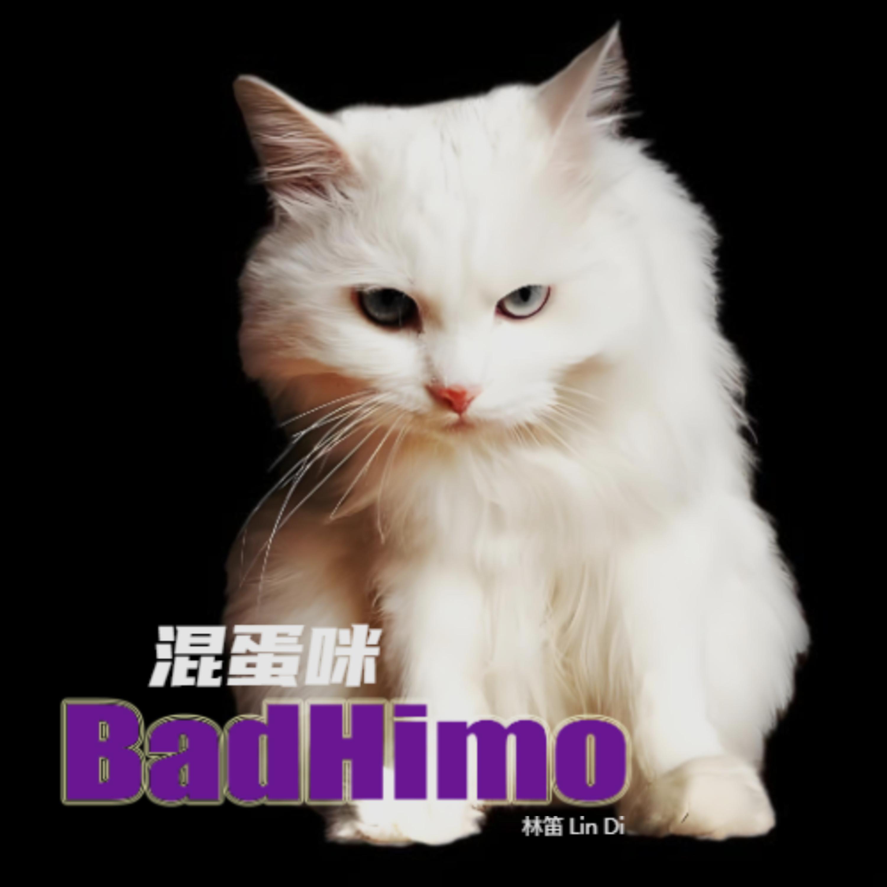 Релиз 混蛋咪（Bad Himo）