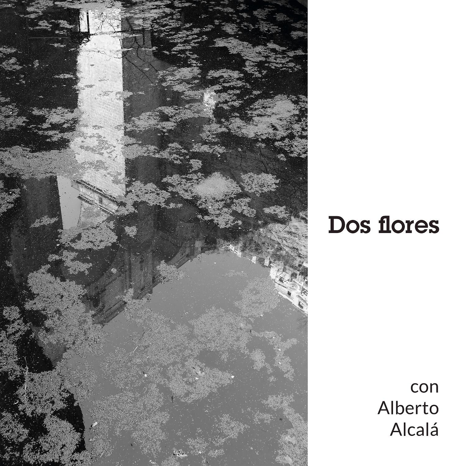 Релиз Dos flores