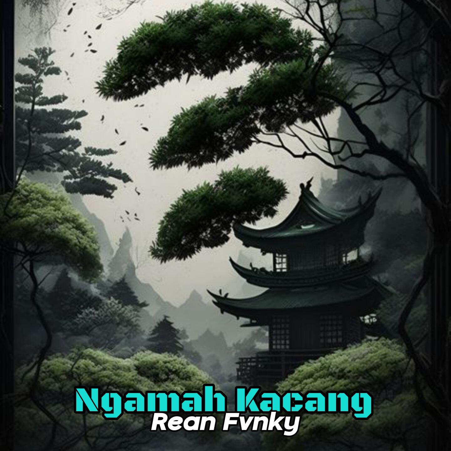 Релиз Ngamah Kacang