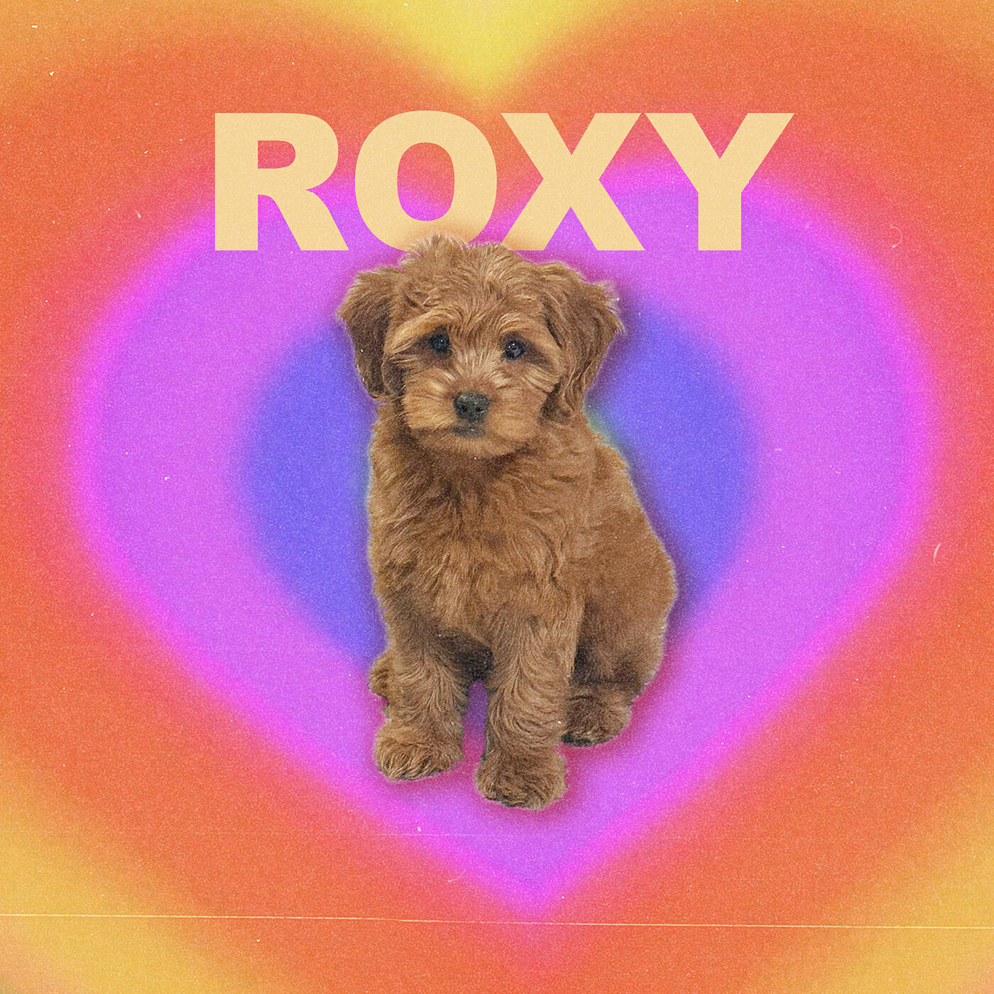 Релиз Roxy