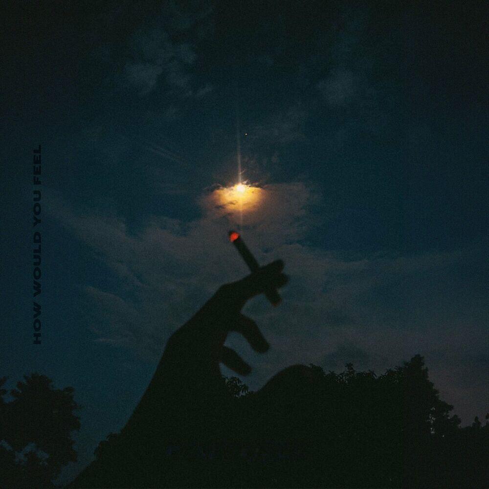 Релиз How Would You Feel