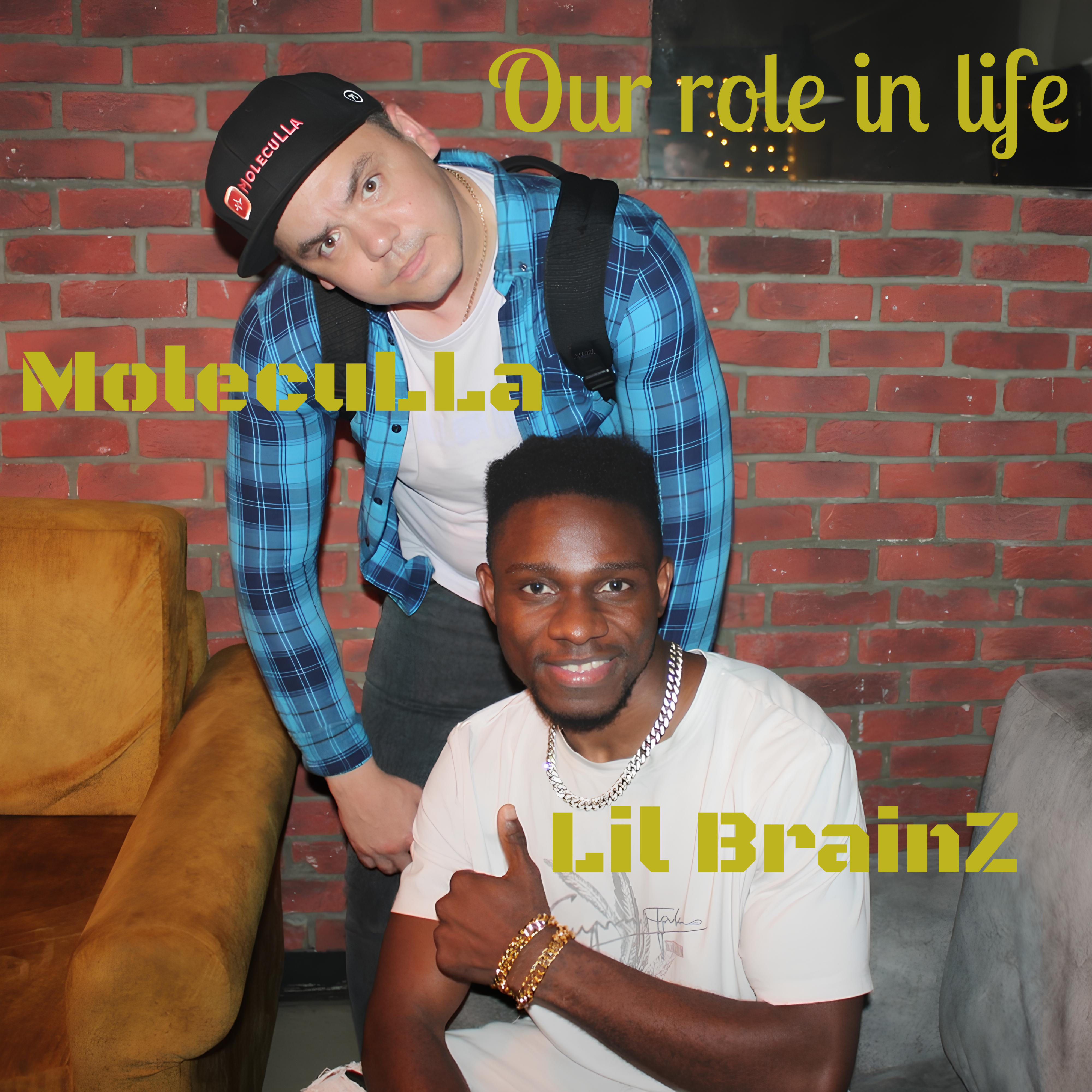 Релиз Our Role in Life