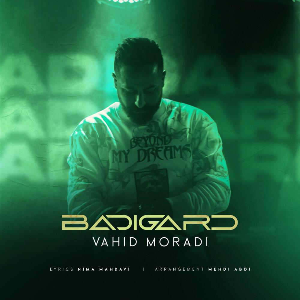 Релиз Badigard