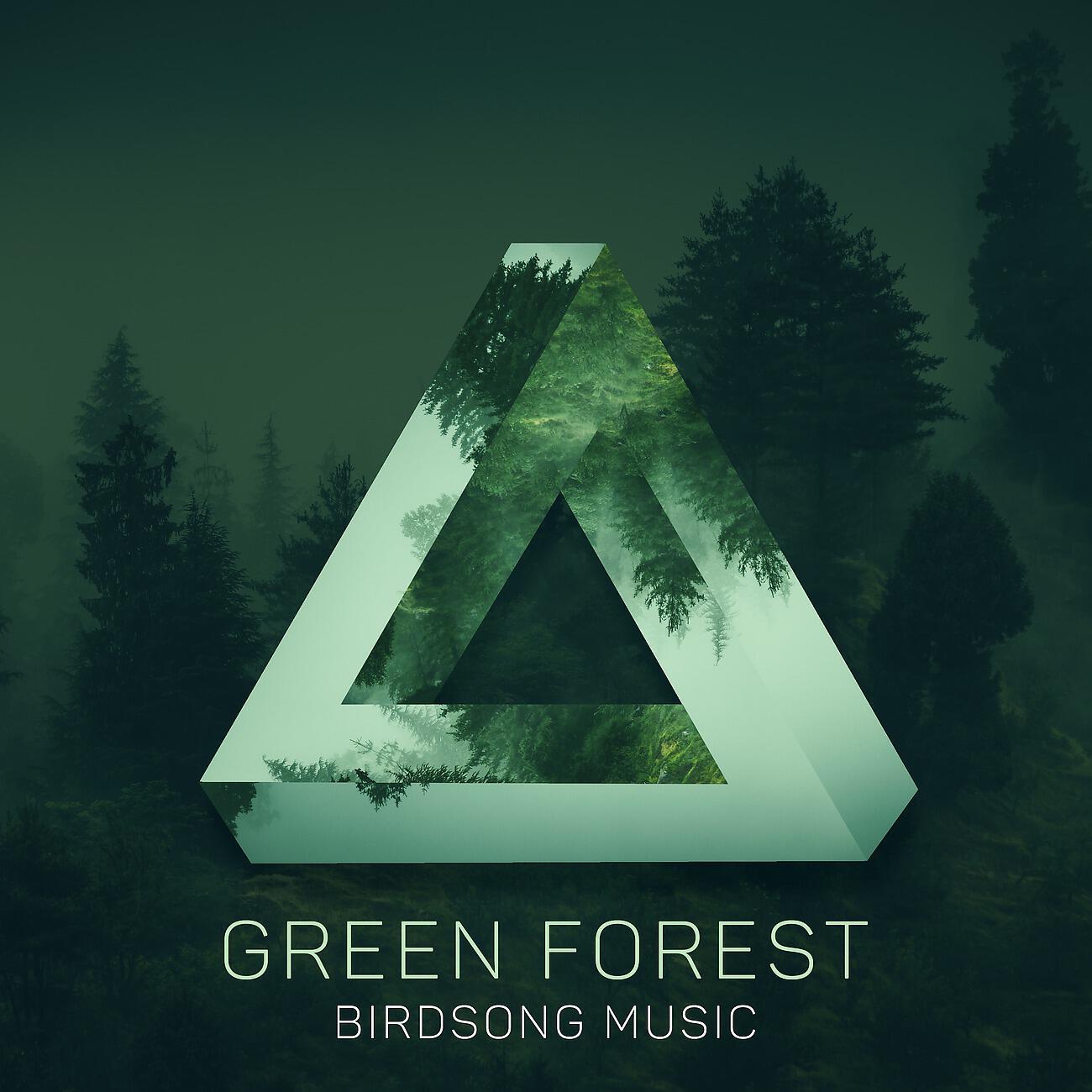 Релиз Green Forest - Birdsong Music, Forest Animals, Esthetic Music