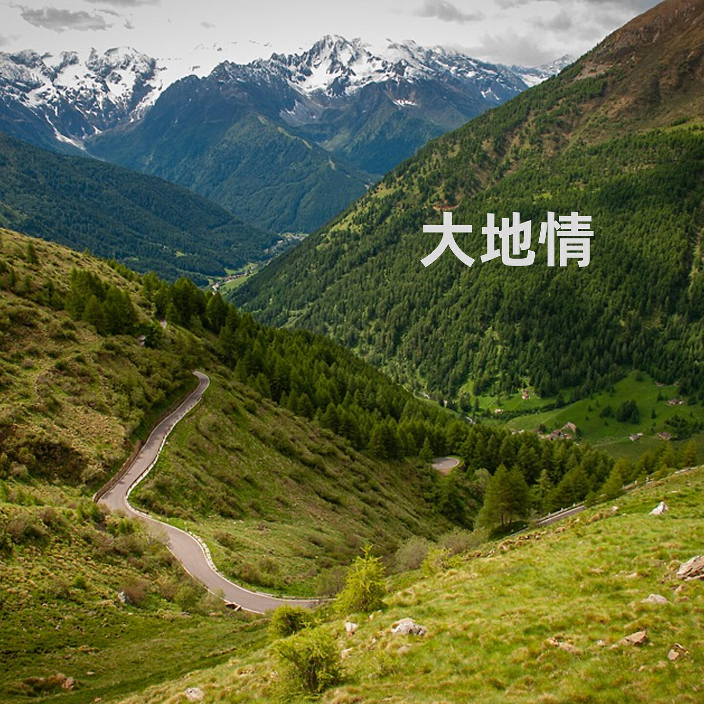Трек 大地情