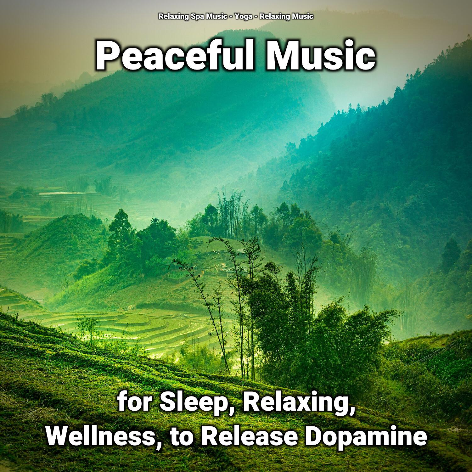 Релиз Peaceful Music for Sleep, Relaxing, Wellness, to Release Dopamine
