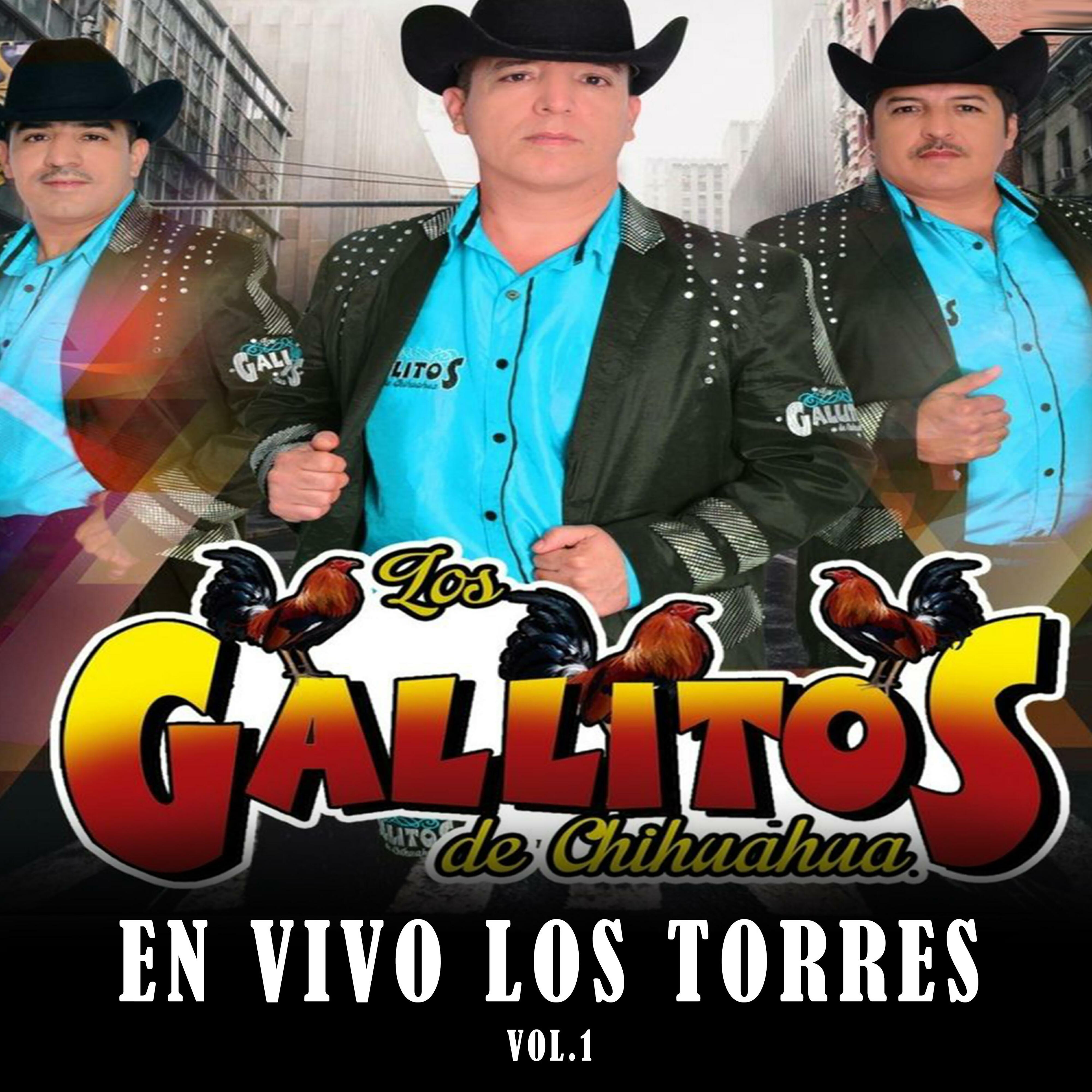 Los Gallitos de Chihuahua
