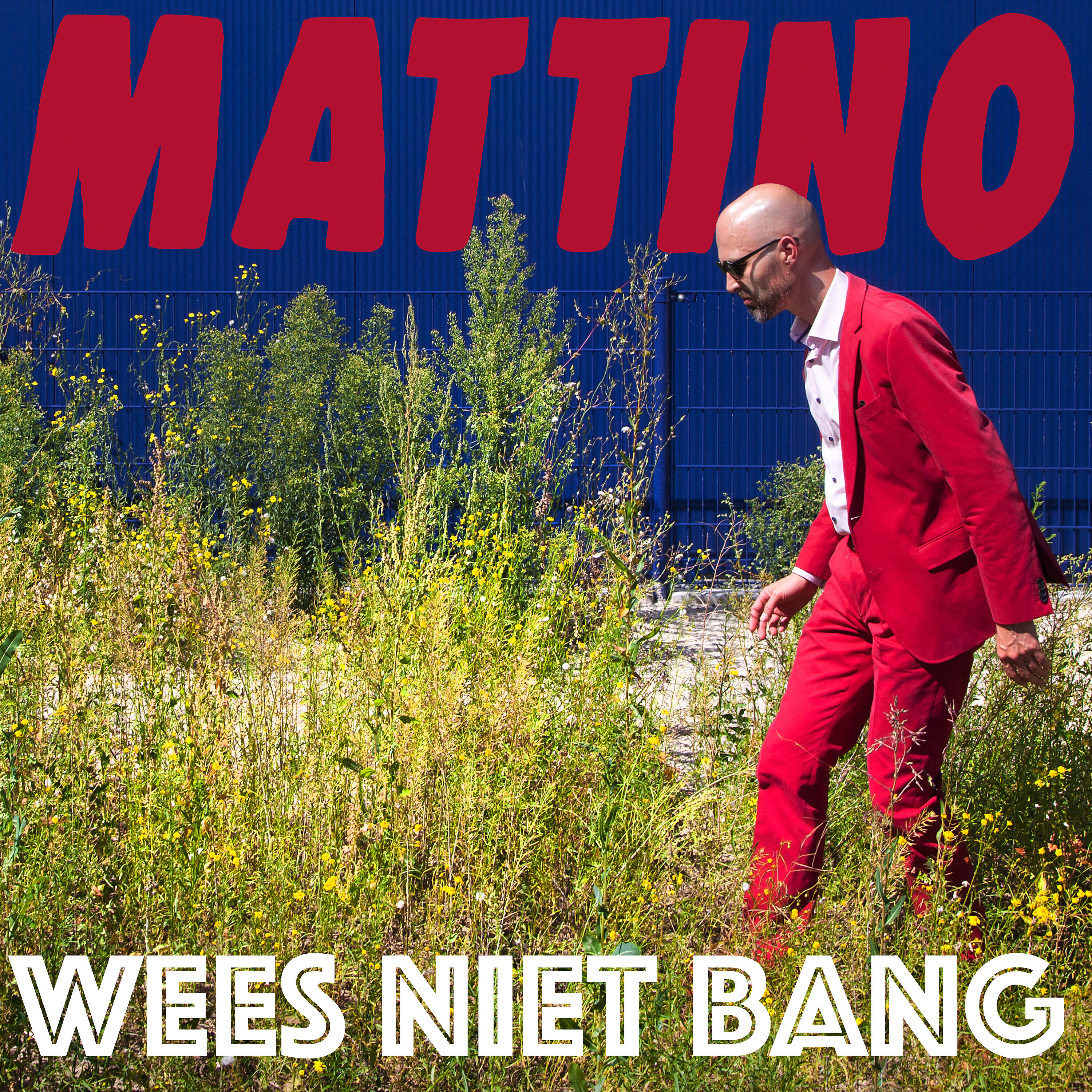 Релиз Wees Niet Bang