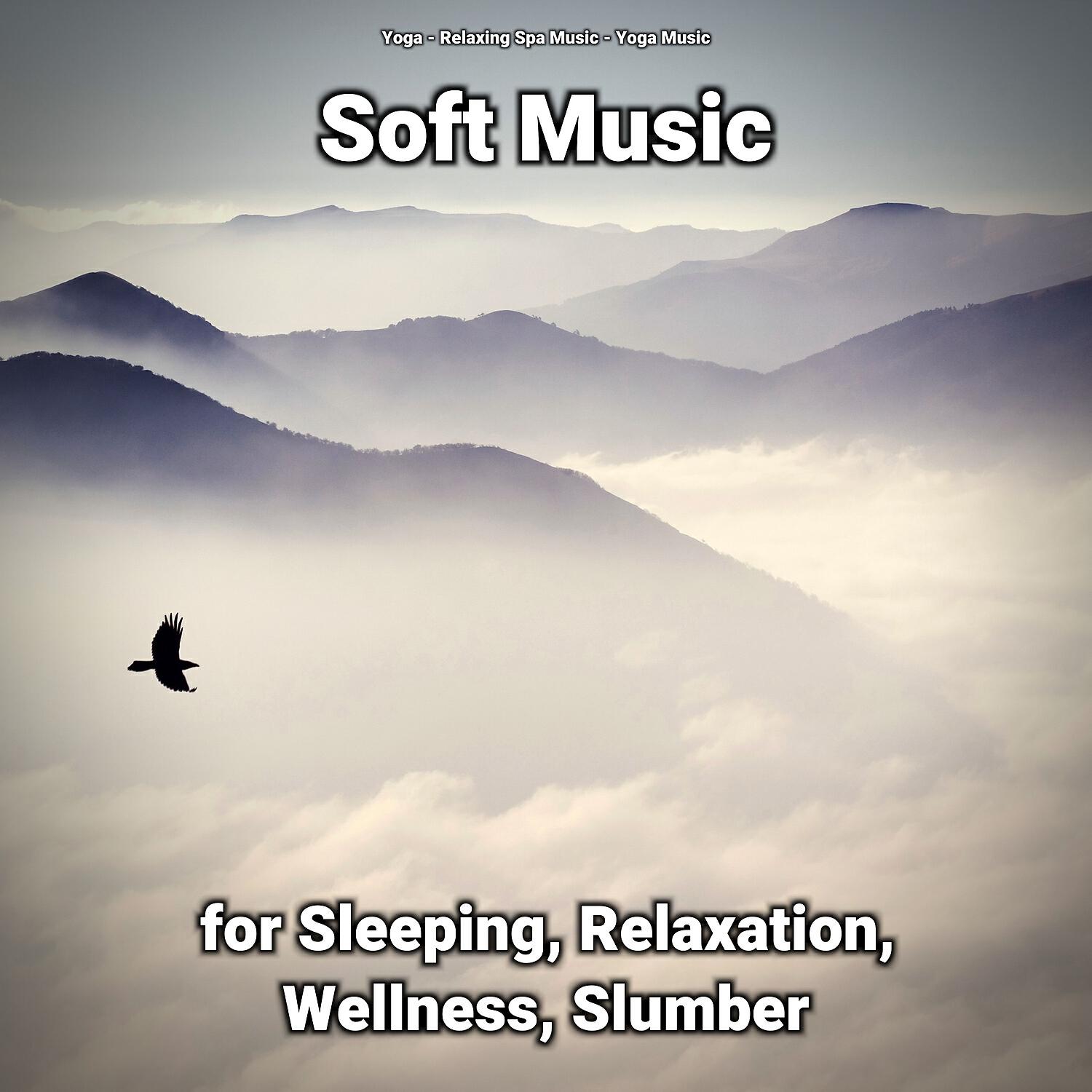 Релиз Soft Music for Sleeping, Relaxation, Wellness, Slumber