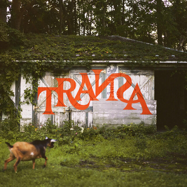 Релиз TRANSA