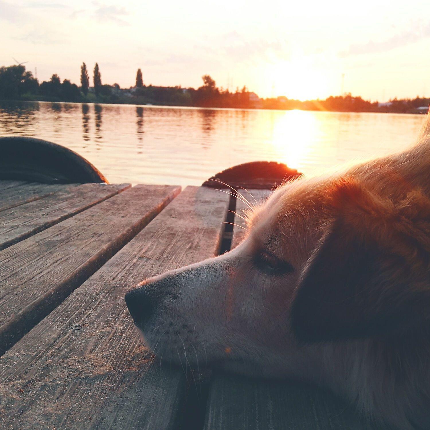 Релиз Soft Soothing Noises for Calm and Relax Baby