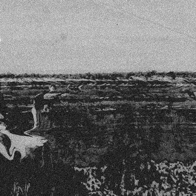 Релиз RUIN