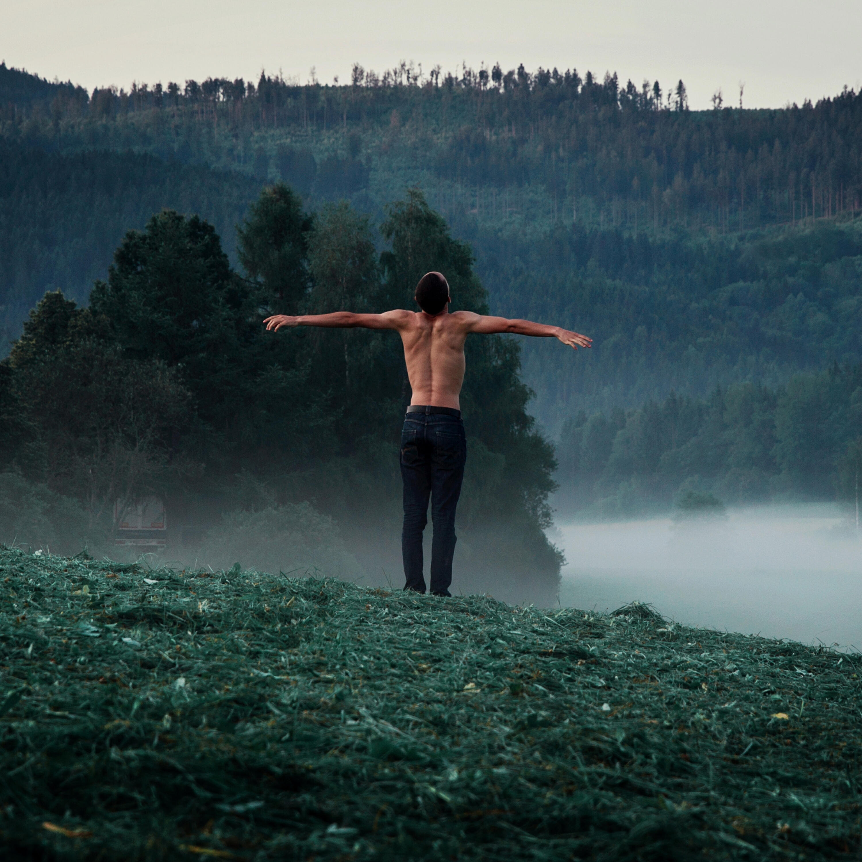 Релиз Rest This Worried Heart