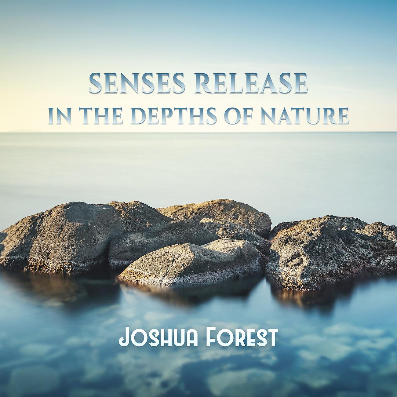 Релиз Senses Release - In the Depths of Nature