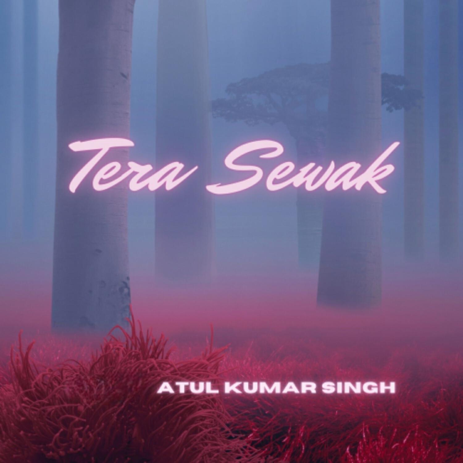 Релиз Tera Sewak