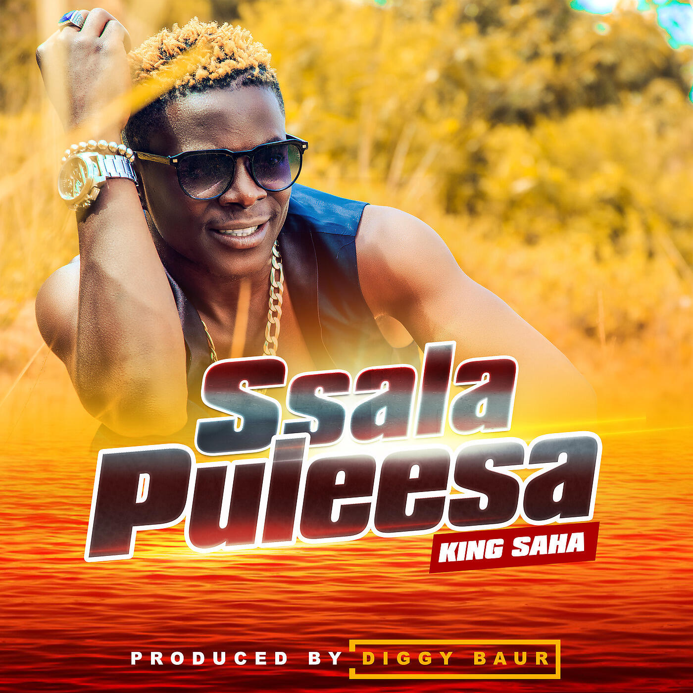 Скачать песню King Saha - Ssala Puleesa бесплатно в MP3 для Android и iOS