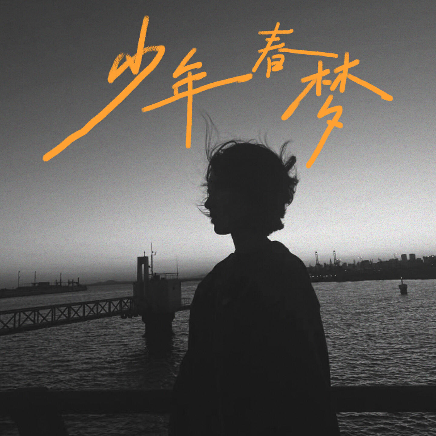 陈少卿