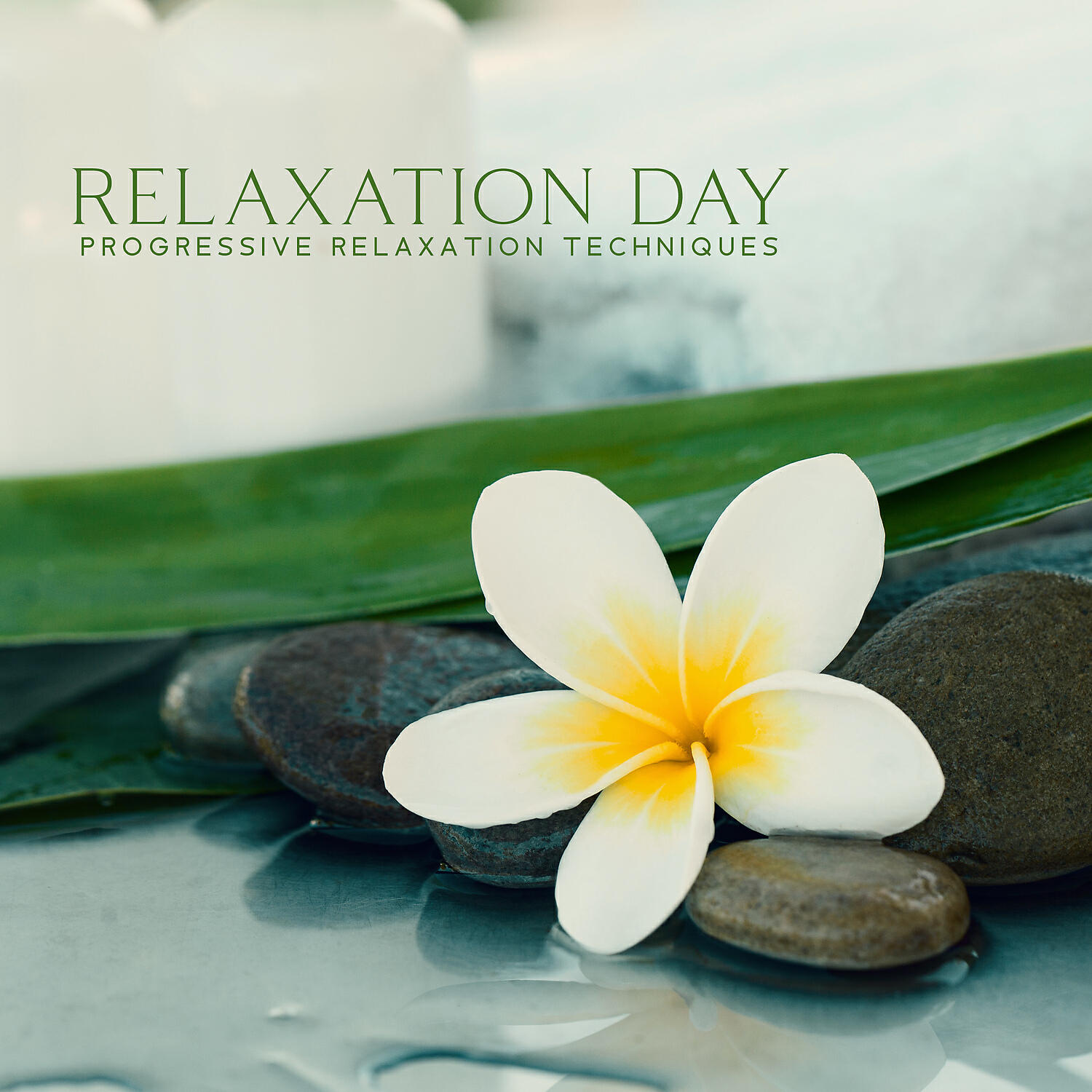 Релиз Relaxation Day: Progressive Relaxation Techniques, Tender Bath Spa, 1HSpaMusic for Hotel Spa 2022