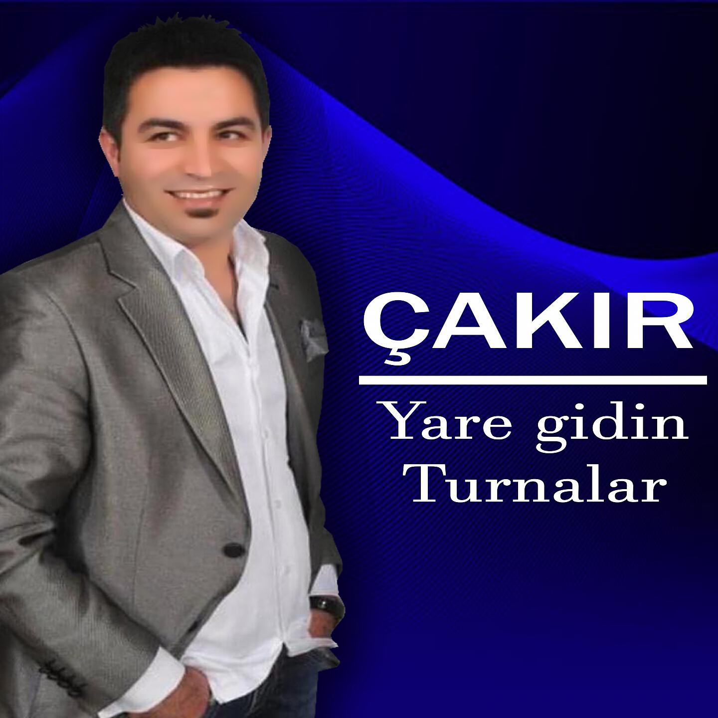 Релиз Yare Gidin Turnalar