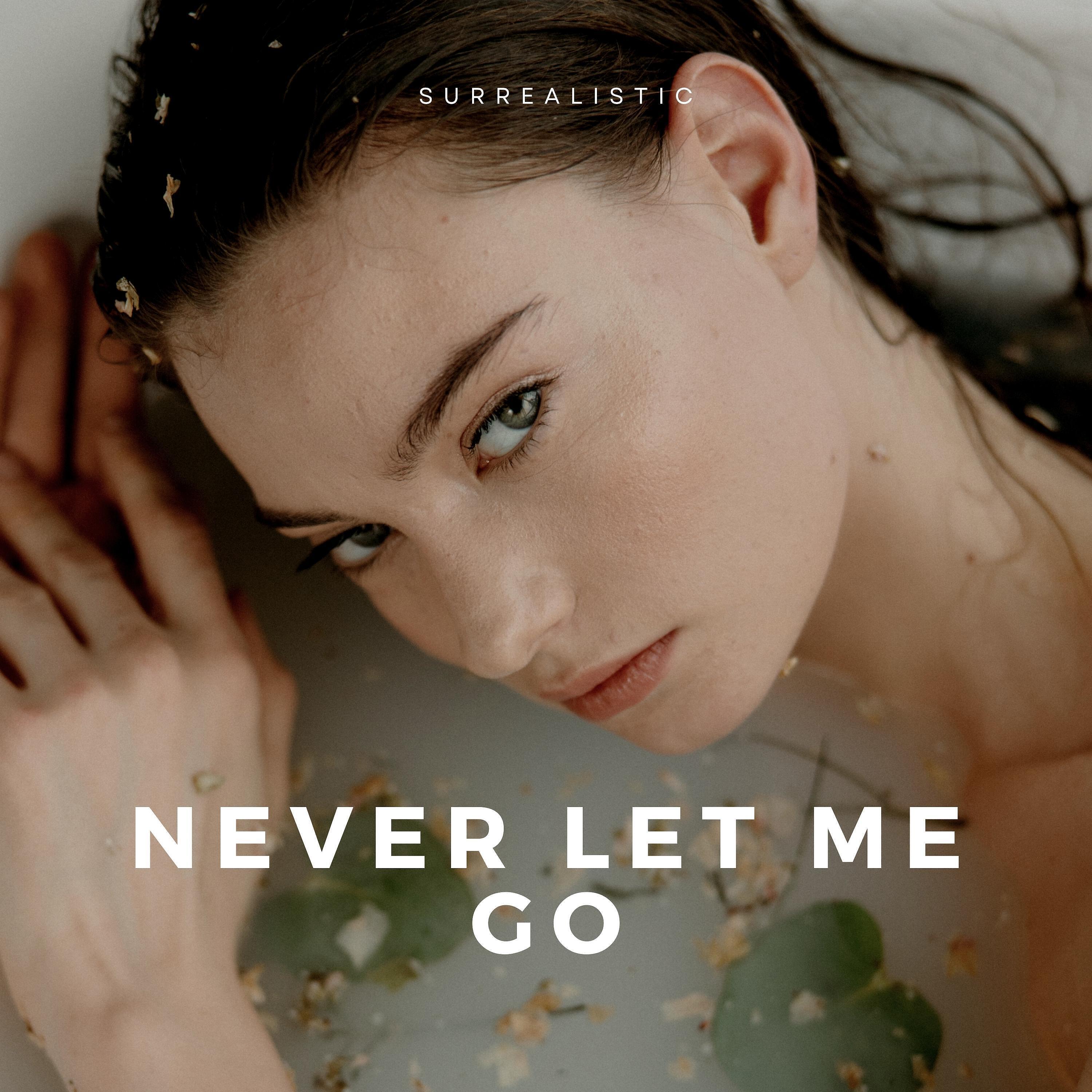 Релиз Never Let Me Go