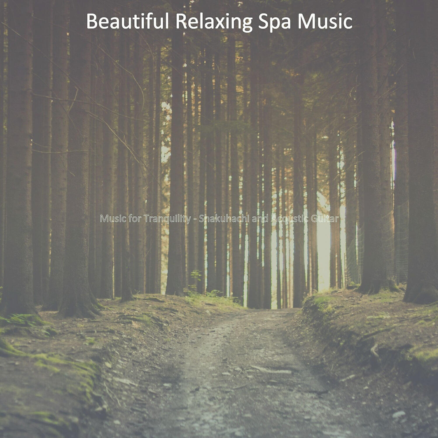 Трек Lonely Ambience for Complete Relaxation