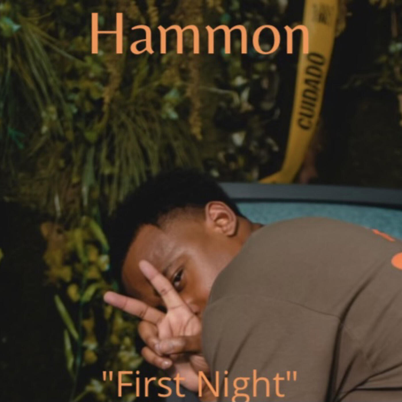 Релиз First Night