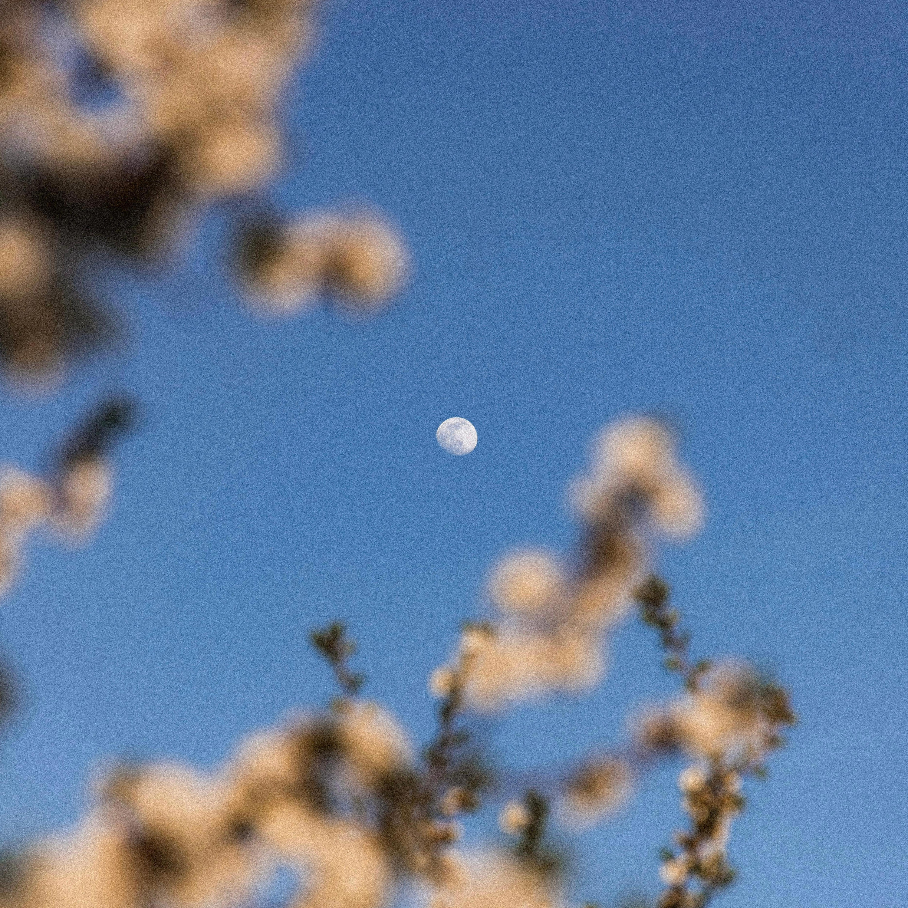 Релиз Clouds will pass