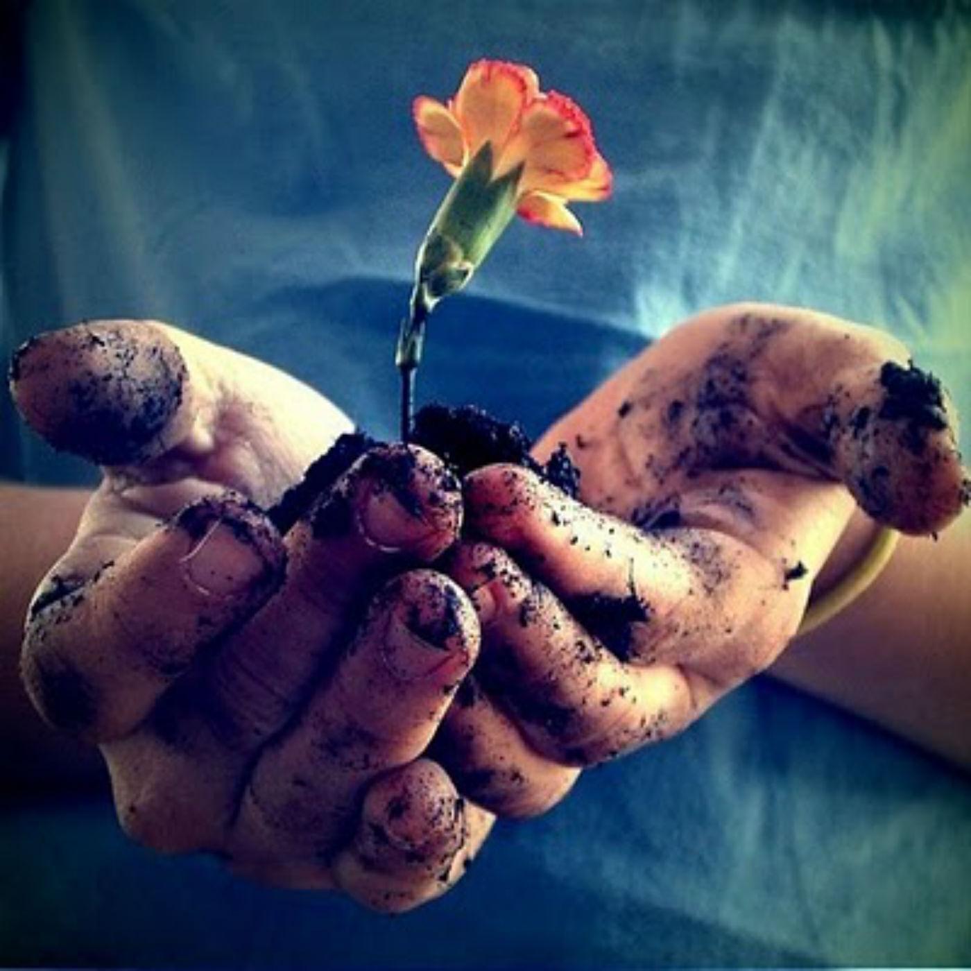 Релиз Color of Dirt
