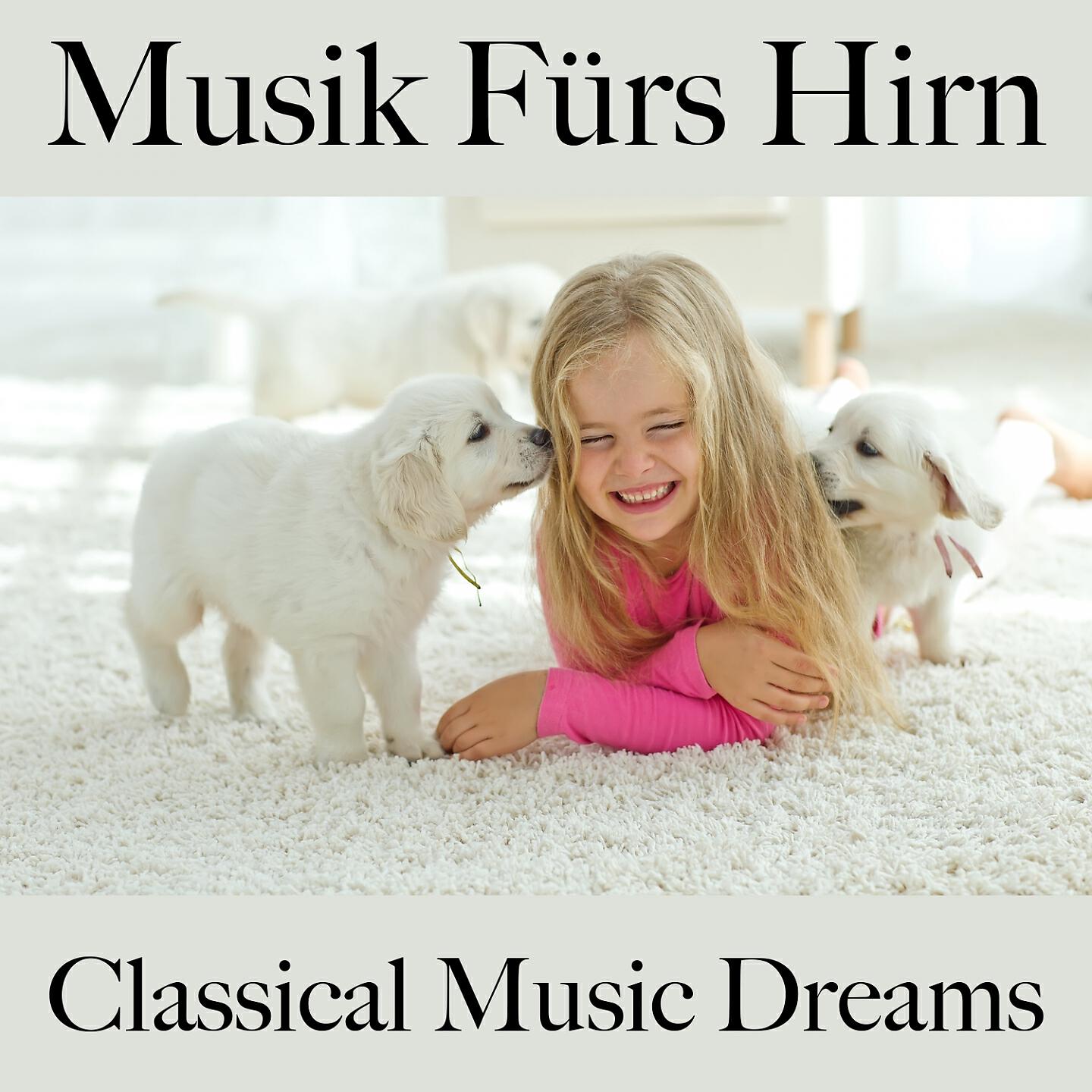 Релиз Musik Fürs Hirn: Classical Music Dreams - Die Beste Musik Zum Entspannen