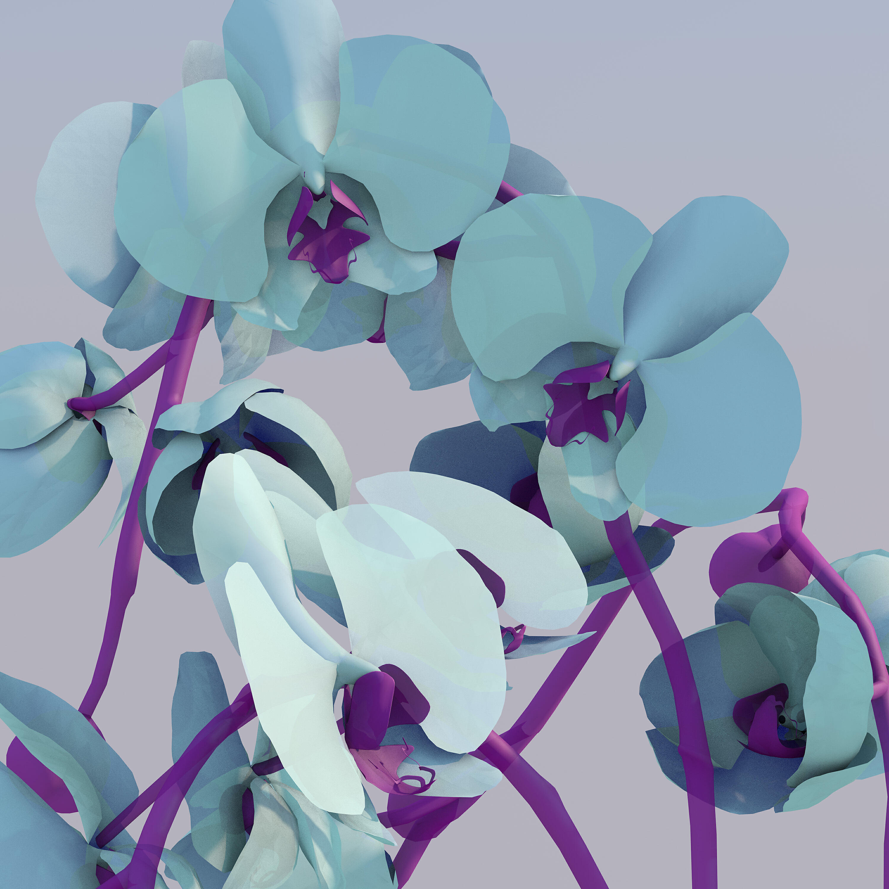 Релиз Work