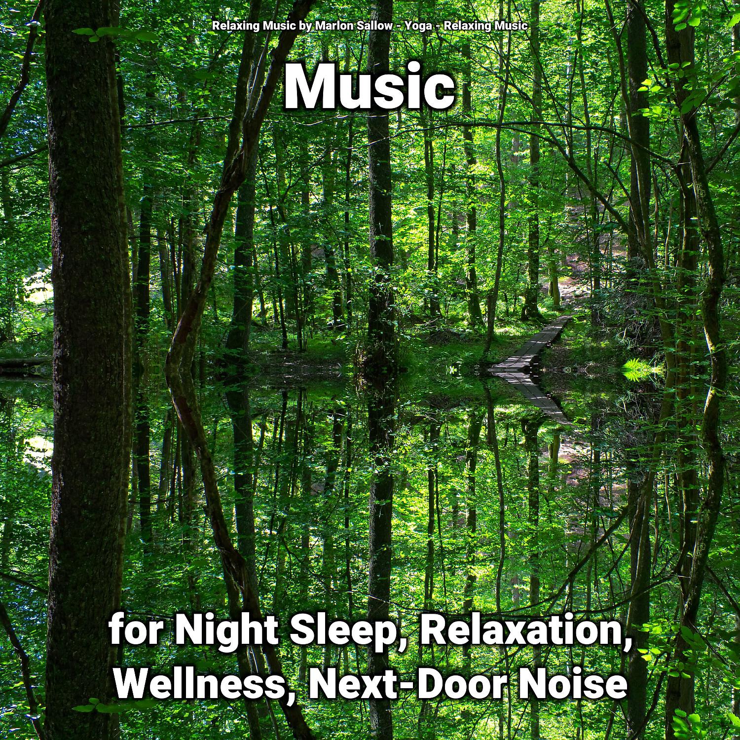 Релиз Music for Night Sleep, Relaxation, Wellness, Next-Door Noise