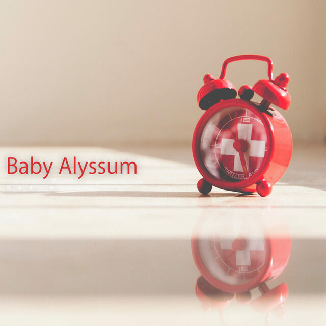 Релиз Baby Alyssum