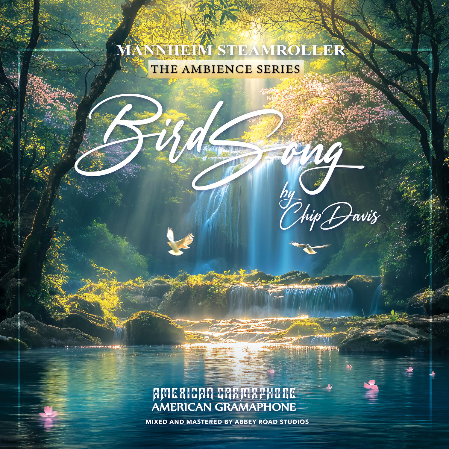 Релиз Bird Song - Music + Ambience