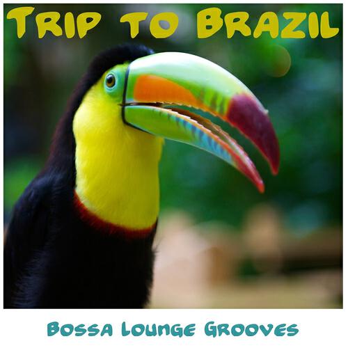 Релиз Trip to Brazil