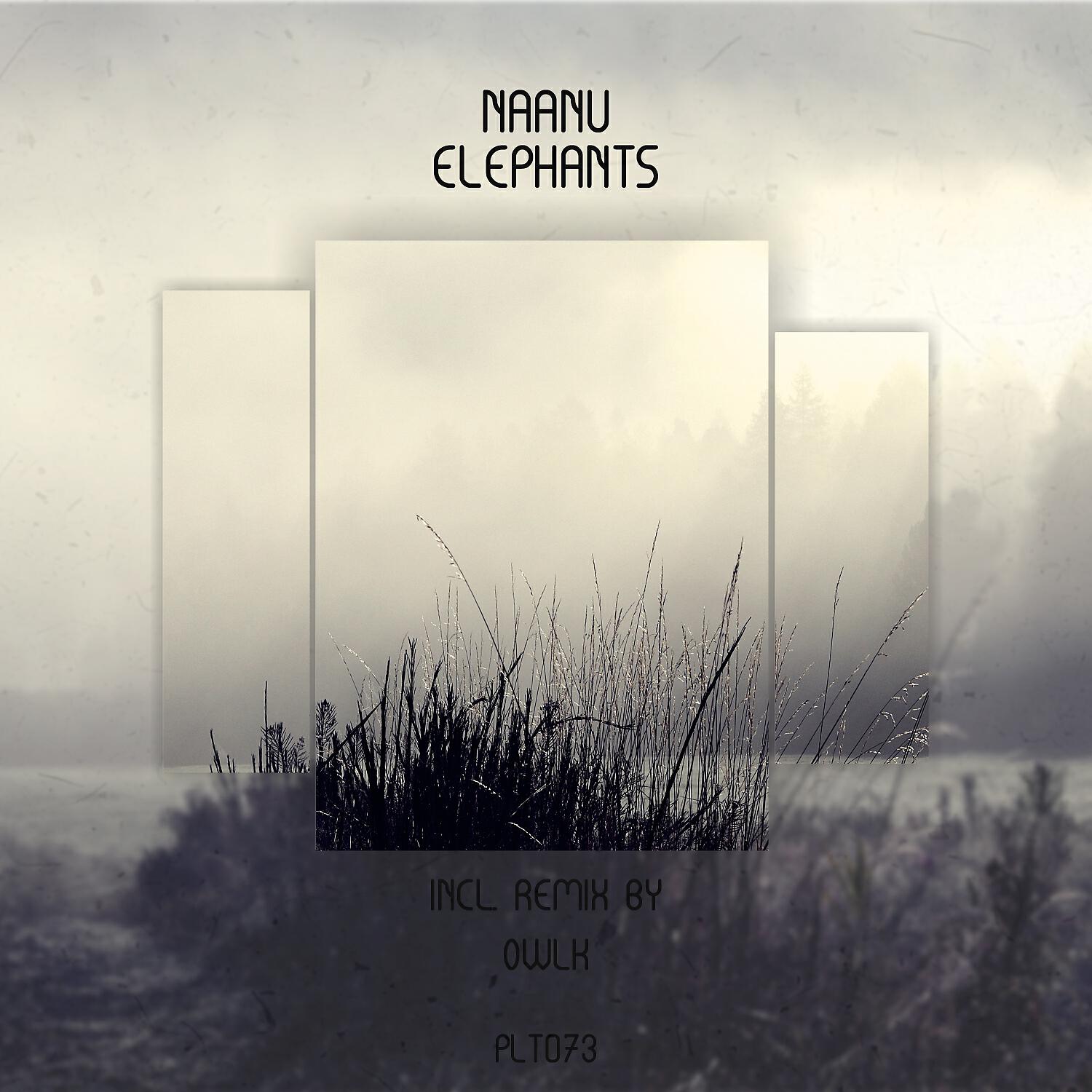 Релиз Elephants