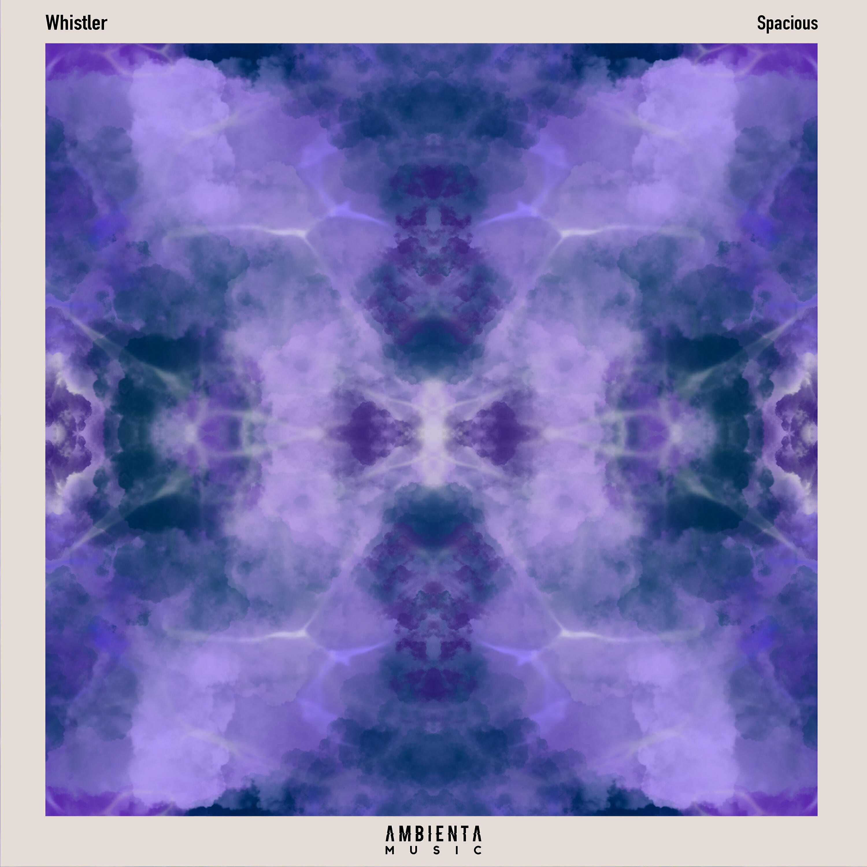 Релиз Spacious
