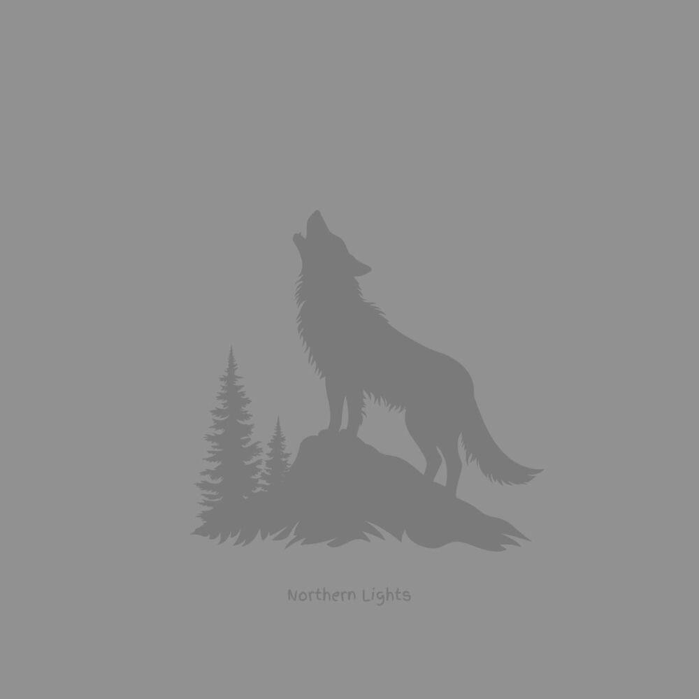 Релиз Northern Lights